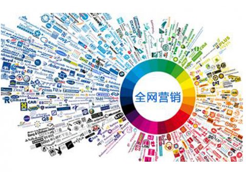 永康百度公司电话是多少,手机:15858980231,金华市一鼎信息技术有限公司